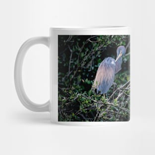 Dreamy Heron Mug